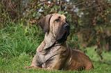 FILA BRASILEIRO 029